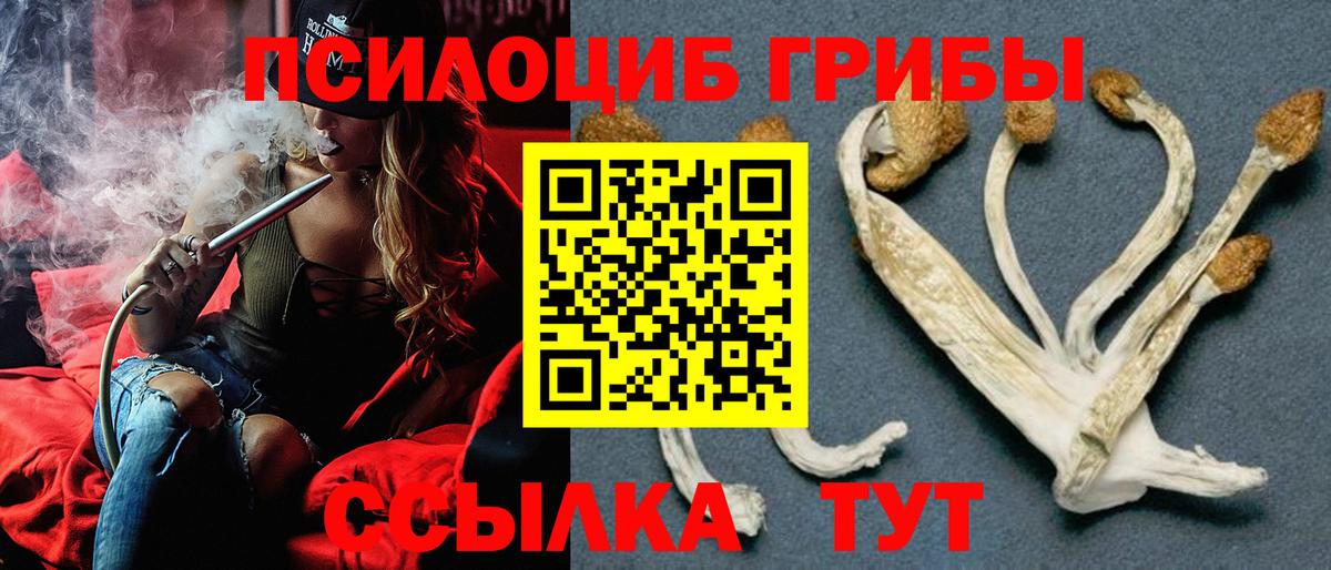 Галлюциногенные грибы ЛСД  Галлюциногенные грибы мицелий  Вход с VPN  закладки  Славянск-на-Кубани 