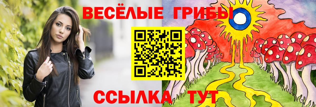 Псилоцибиновые грибы мухоморы Славянск-на-Кубани