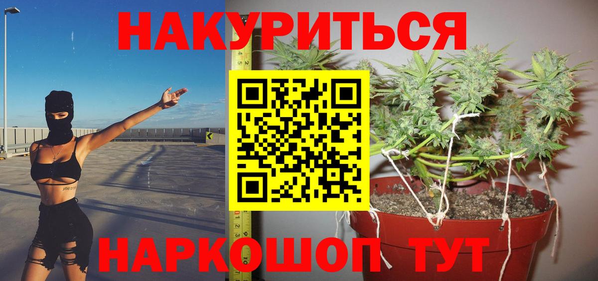 Каннабис OG Kush Славянск-на-Кубани