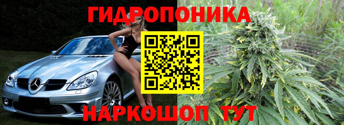 Конопля план  Каннабис OG Kush  Каннабис тримм  Шишки марихуана SATIVA & INDICA  Славянск-на-Кубани  Вход с VPN 